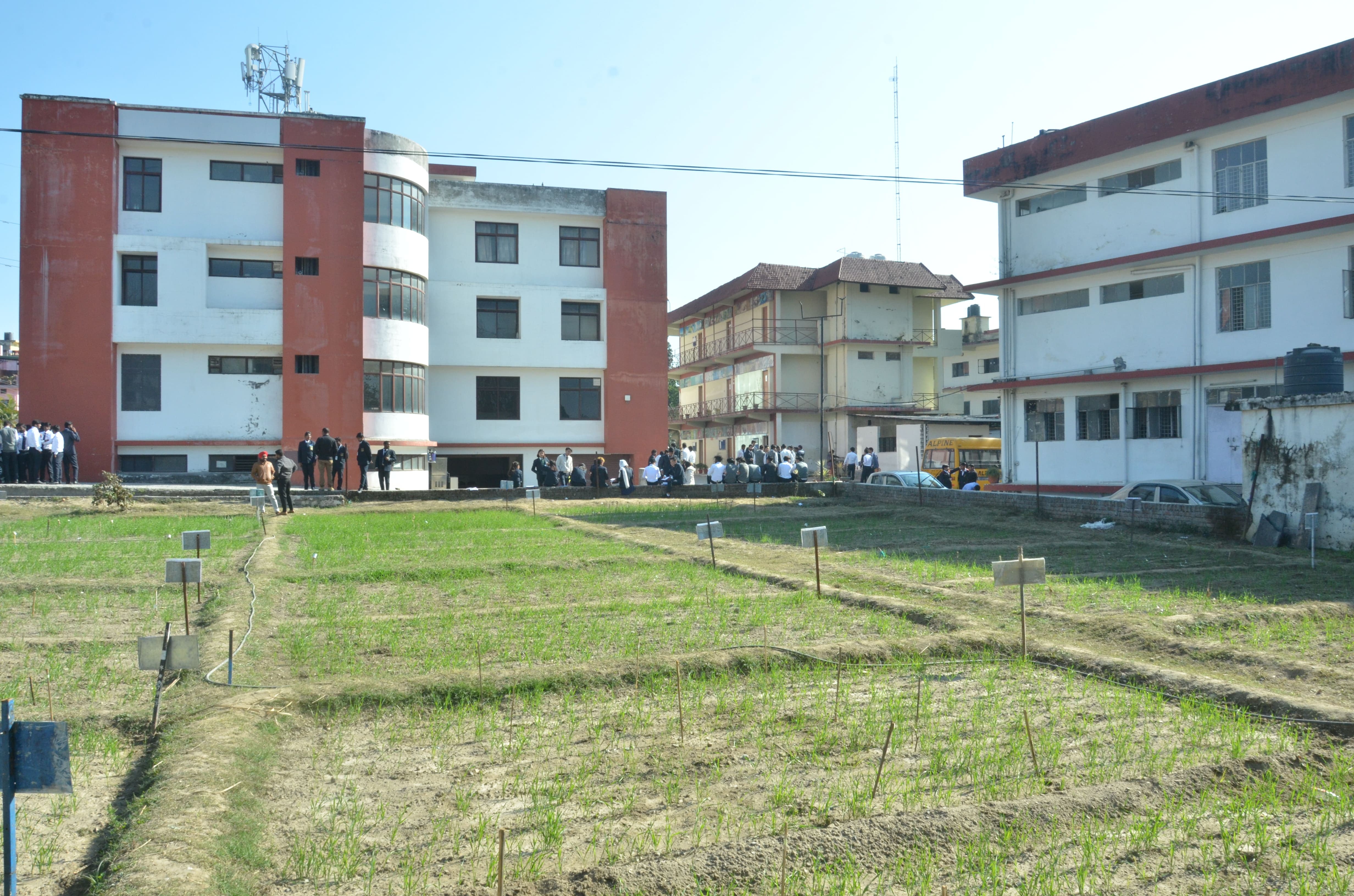 Alpine Group of Institutions Dehradun Infrastructure photo 11